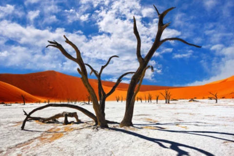 Namibia: explora el cañón más grande de África, las dunas y las salinas.Namibia: explora el cañón más grande de África, las dunas y las salinas