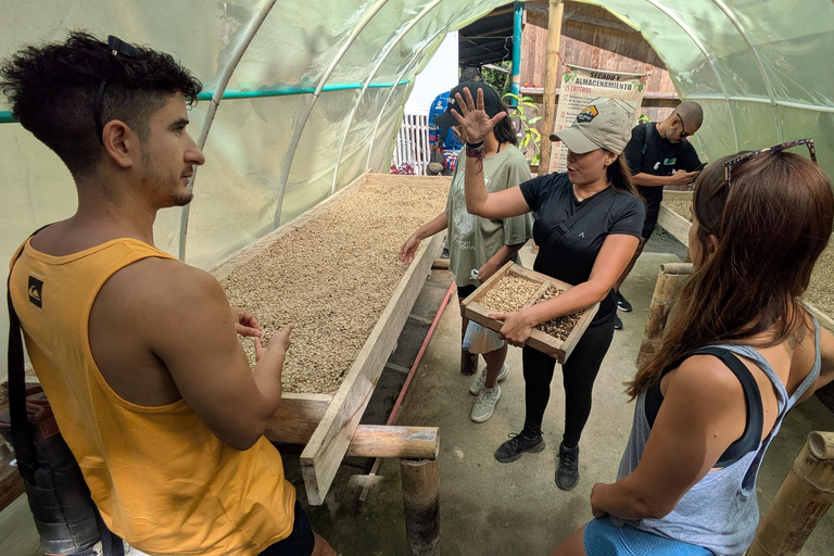 Coffee and Cacao Experience in Minca