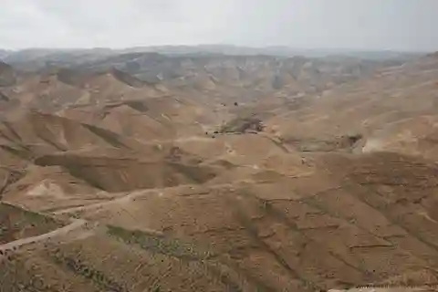 Från Tel Aviv: Besök i Döda havet och ökensafari