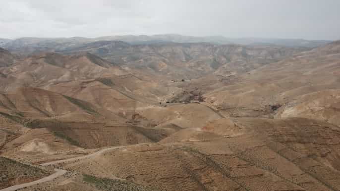 dead sea visit desert safari from jerusalem or tel aviv