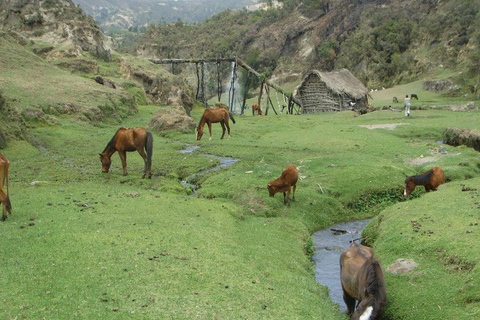 Addis Abeba: Tagestour zum Wenchi-Kratersee mit Bootsfahrt
