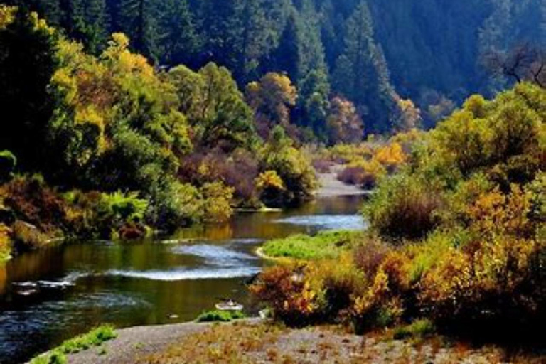 San Francisco: 5-Day California Coast, Vineyards & Wine Tour Double Occupancy Room