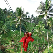 Ubud Waterfall, Tirta Empul Temple And Tegalalang Rice Field 