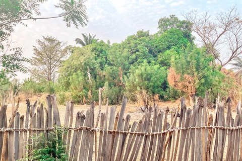 Gambia: Full-Day Rural Village Tour with Lunch