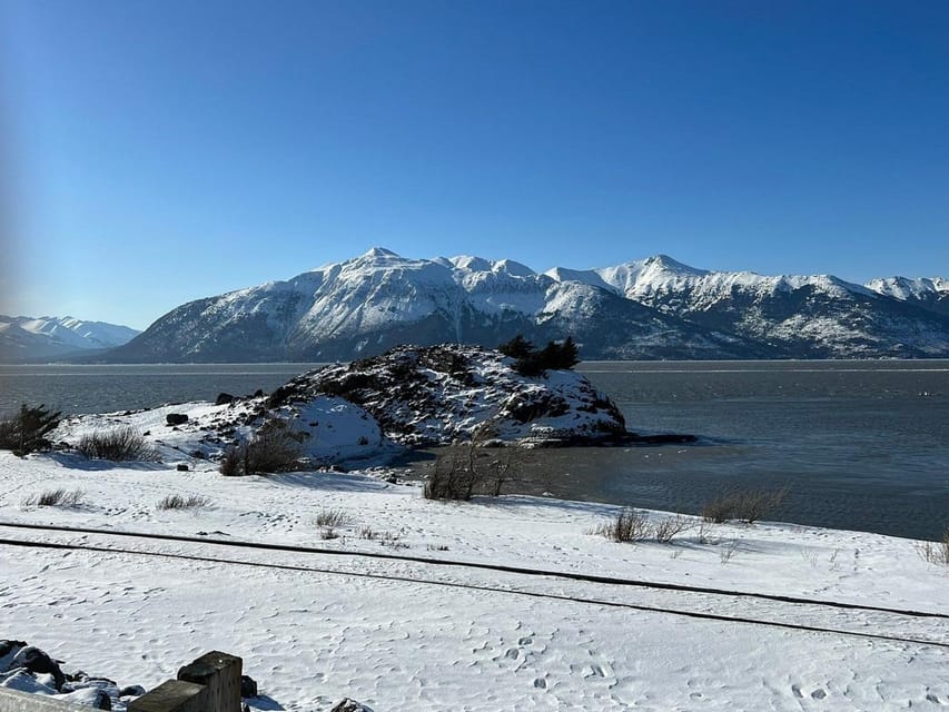 Anchorage, Alaska Wildlife Center and Turnagain Arm Tour - SuiteTrails