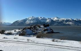 From Anchorage: Alaska Wildlife Center & Turnagain Arm Tour