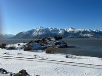 Anchorage, Alaska Wildlife Center et Tour de Turnagain Arm - Hizvo