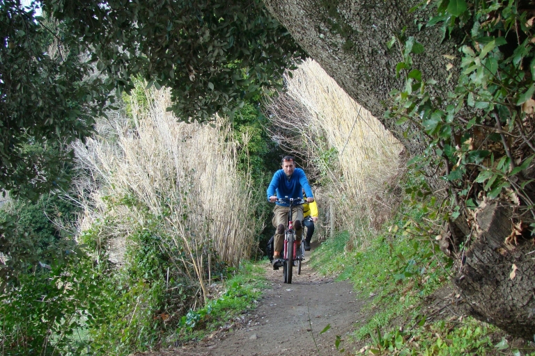 Roma: tour privado en bicicleta eléctrica de día completo por Appian Way y lago AlbanoTour en holandés