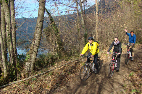 Roma: tour privado en bicicleta eléctrica de día completo por Appian Way y lago AlbanoTour en ingles