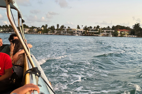 Miami River Sightseeing Cruise: Miami Skyline & Architecture