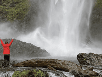 Multnomah Falls : visite d'une demi-journée des 5 principales chutes d'eau