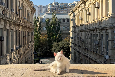 Baku: Interactive City Tour with Wine Tasting