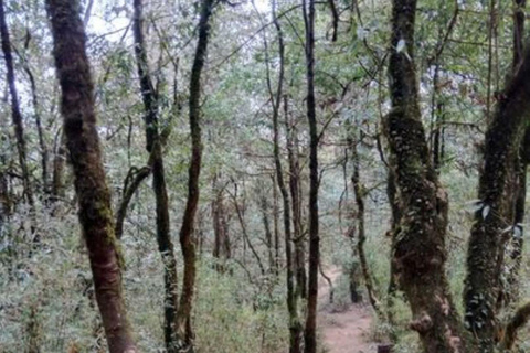 Dagsvandring till Shivapuris nationalpark från Kathmandu