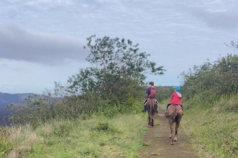 Galapagos paardrijden op de bergkammen van de Sierra Negra Vulkaan