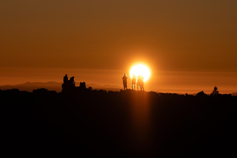Tenerife: Teide Sunset & Stargazing Small-Group Minivan Tour Teide Sunset & Stars Self Drive Option (Own Car)