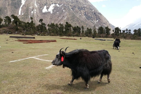 Katmandú: Excursión al Campo Base del Kanchenjunga con vuelos