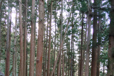 Nagano: Snow Monkeys, Obuse, & Hot Spring Foot Bath Tour