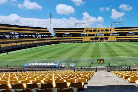 Montevideo: Peñarol Stadium, Museum, and Arena Tour