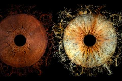 Deauville: Reveal the beauty of your iris with Iris Galerie Deauville: Reveal the beauty of your iris in 40 minutes