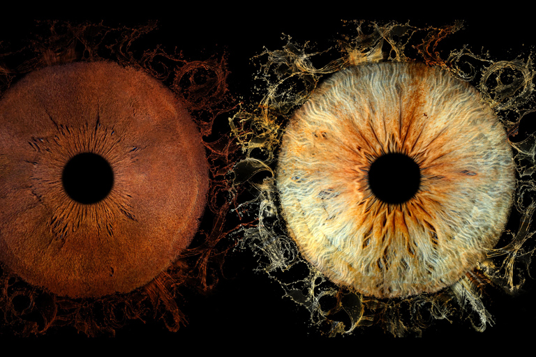 Deauville: Reveal the beauty of your iris with Iris Galerie Deauville: Reveal the beauty of your iris in 40 minutes