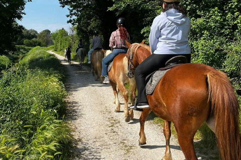 Certosa di Calci: Horseback Riding Experience for Beginners in Nature Horseback ride with aperitif