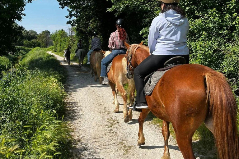 Certosa di Calci: Horseback Riding Experience for Beginners in Nature Horseback ride with aperitif