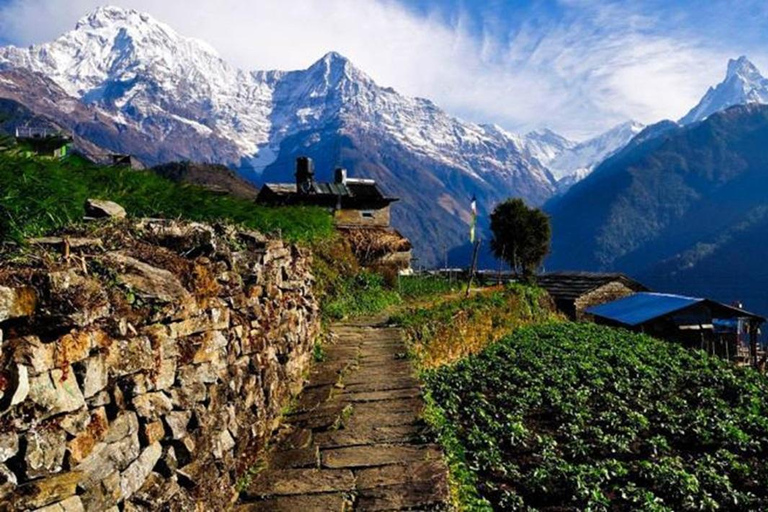 Pokhara: 1 day Kudbidada, Sidhane and Panchase Guided Trek