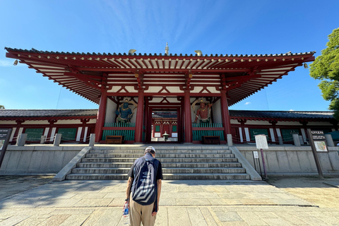 Osaka: Un tour guidato a piedi privato di 5 luoghi da vedere assolutamente