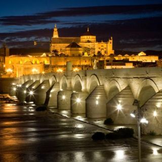 Desde Sevilla: excursión guiada de 1 día a Córdoba