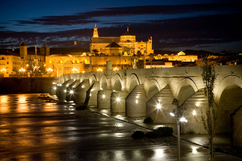 Cordoba Guided Day Trip from Seville Standard Option