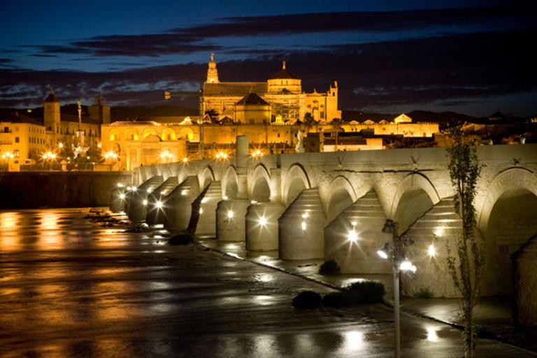 Viagem de um dia guiada a Córdoba saindo de SevilhaOpção Padrão