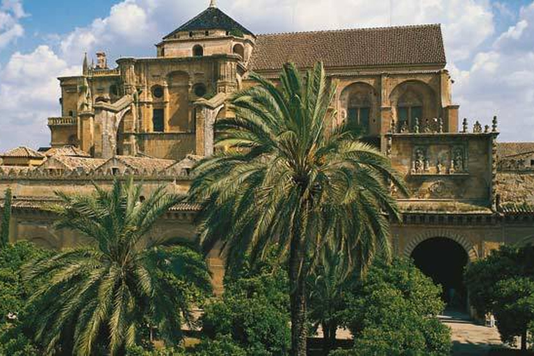 Cordoba Guided Day Trip from SevilleStandard Option