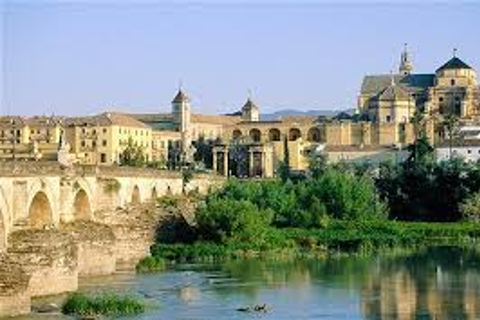 Viagem de um dia guiada a Córdoba saindo de SevilhaOpção Padrão