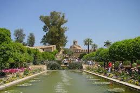 Cordoba Guided Day Trip from SevilleStandard Option