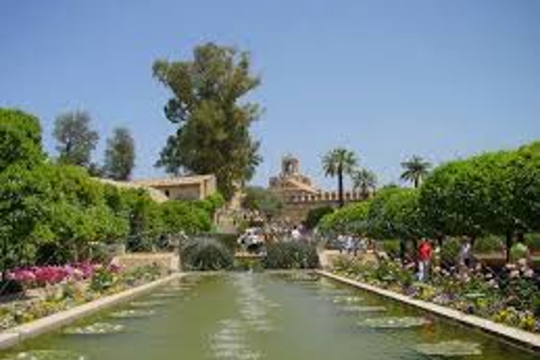 Cordoba Guided Day Trip from Seville Standard Option