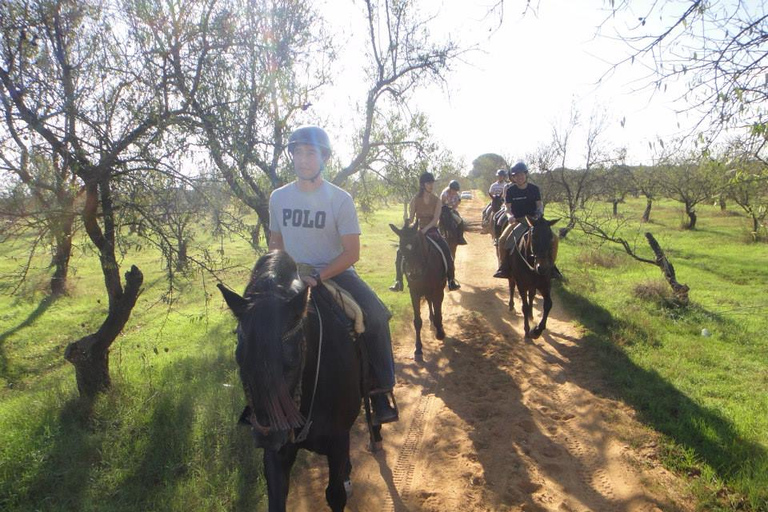 Depuis Séville : Randonnée à cheval en AndalousieDepuis Séville : balade équestre en Andalousie