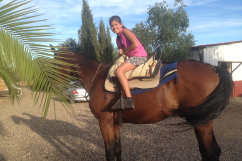 De Sevilha: Passeio a cavalo pela AndaluziaDe Sevilha: Passeio a Cavalo Andaluz