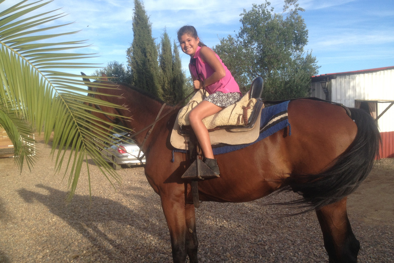 Depuis Séville : Randonnée à cheval en AndalousieDepuis Séville : balade équestre en Andalousie