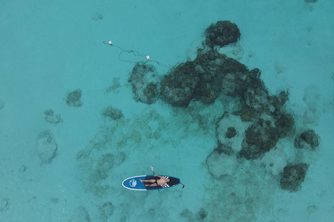 Phuket: Excursão para Maya Beach, Bamboo Island e Ilhas Phi Phi