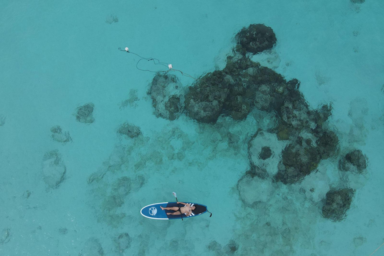 Phuket: Excursión a la Playa Maya, la Isla de Bambú y las Islas Phi Phi