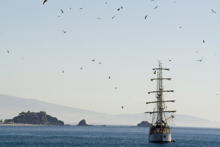 Tropische kust en grotten van Nerja Dagtour vanuit GranadaStandaard Optie