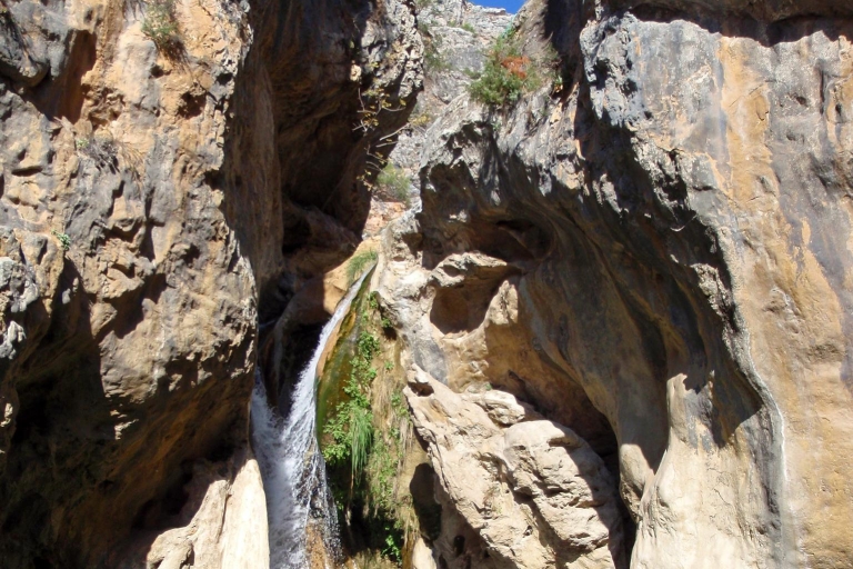 Costa Tropical y cuevas de Nerja desde GranadaOpción estándar