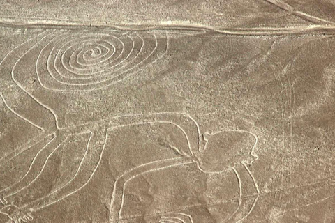 Desde Lima: Excursión Privada Líneas de Nazca y Oasis de la Huacachina