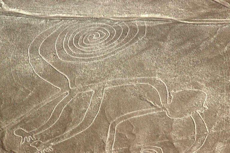 Desde Lima: Excursión Privada Líneas de Nazca y Oasis de la Huacachina