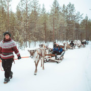Rovaniemi : balade durable de 2 à 3 km en traîneau tiré par des rennes