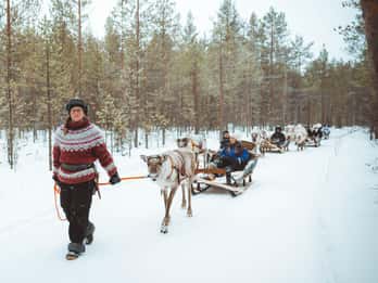 Apukka reindeer journey, 2–3 km