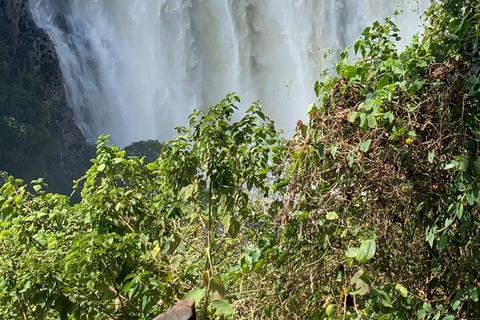 Victoria Falls: Guided Tour with Transportation