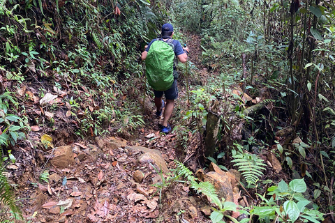 Farallones de Cali : demi-journée de randonnée et de rivière Pance