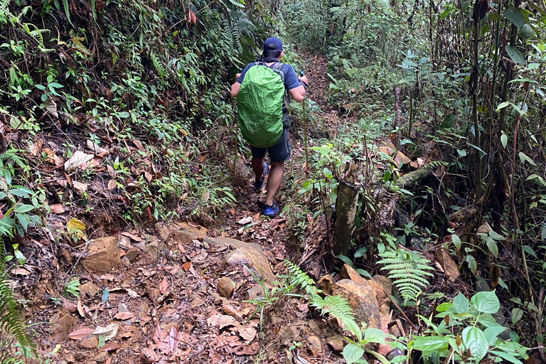 Farallones de Cali: Half a day Pance Hike and River