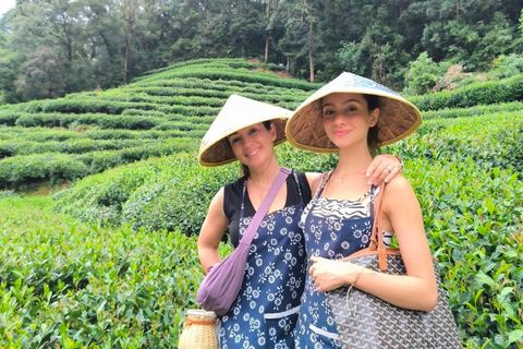 Hangzhou: Meijiawu Tea Picking, Roasting, Tasting Experience
